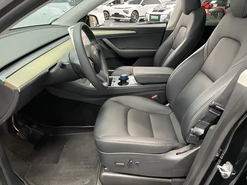 Tesla Model Y — фото 10