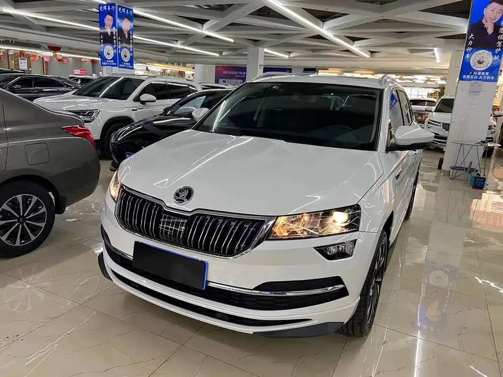 Skoda Karoq — фото 6