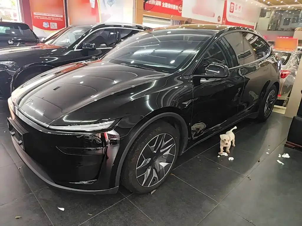 Tesla Model Y L