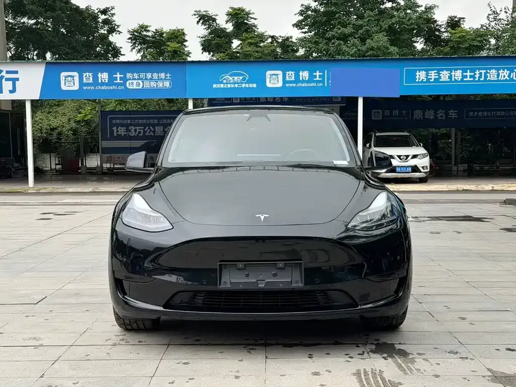 Tesla Model Y — фото 6