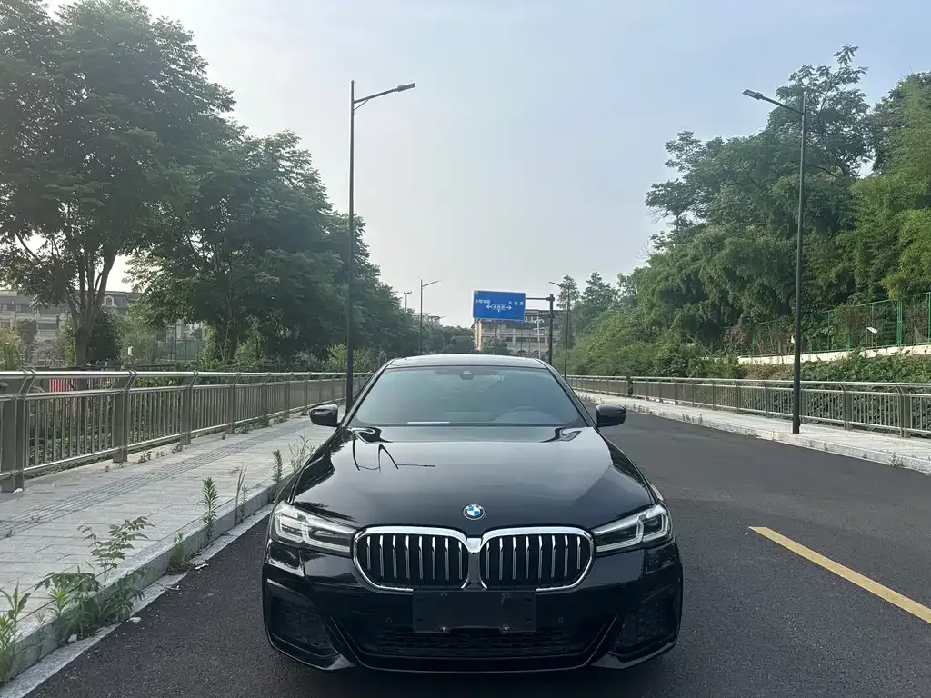 BMW 5 Series 2021 из CN, фото 8