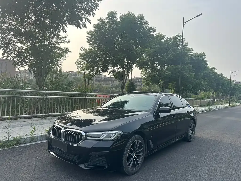 BMW 5 Series 2021 из CN, фото 10