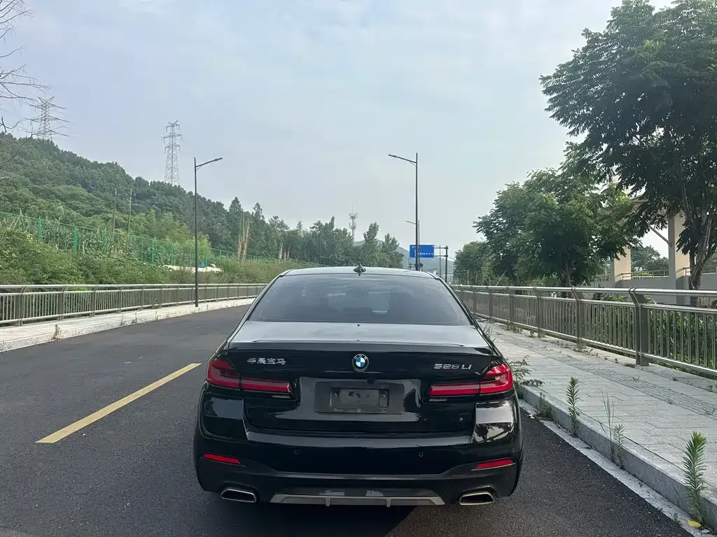 BMW 5 Series 2021 из CN, фото 5