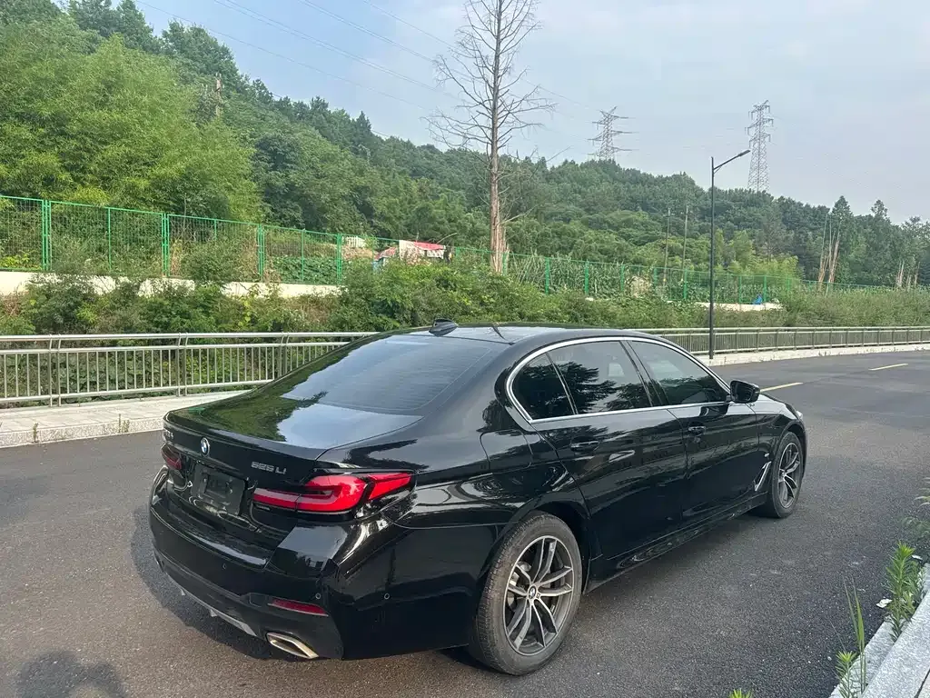 BMW 5 Series 2021 из CN, фото 9