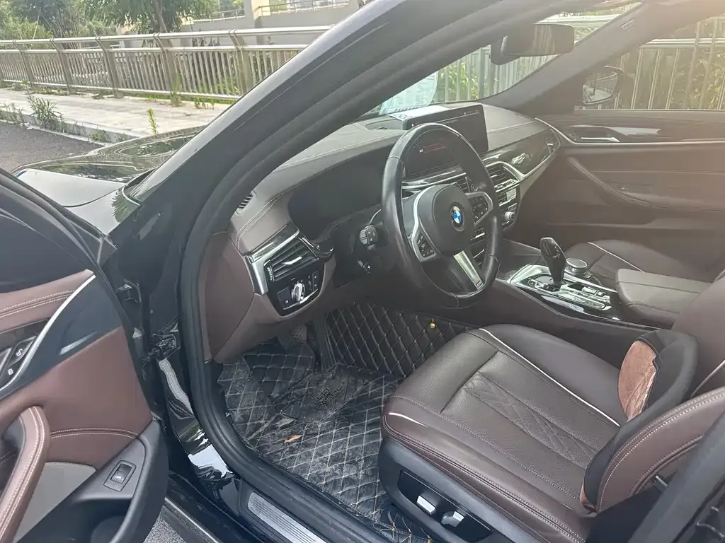 BMW 5 Series 2021 из CN, фото 4