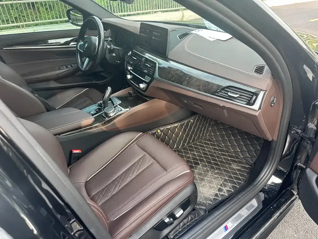 BMW 5 Series 2021 из CN, фото 7