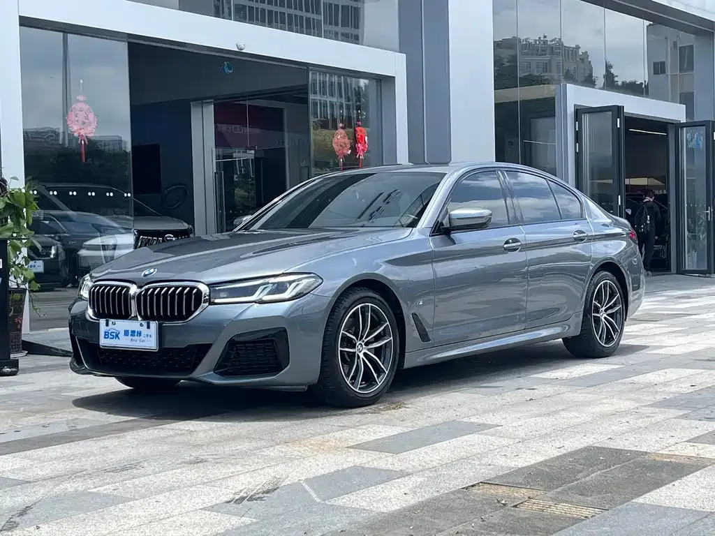 BMW 5 Series (Import)