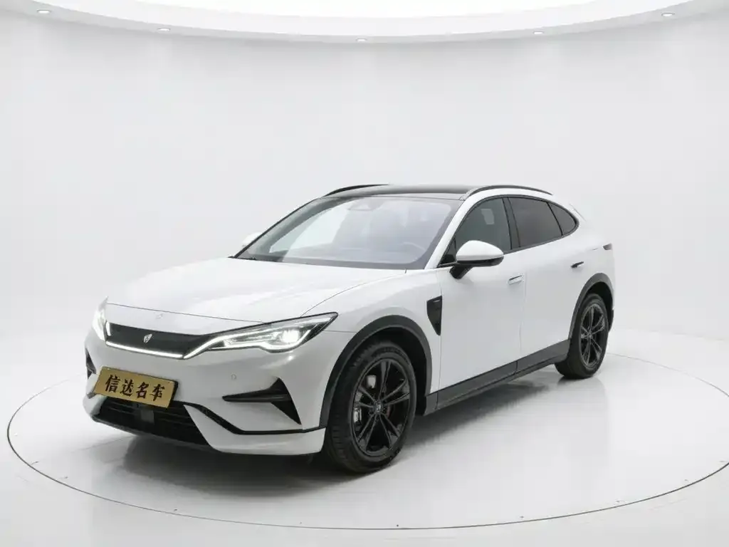 BYD L EV