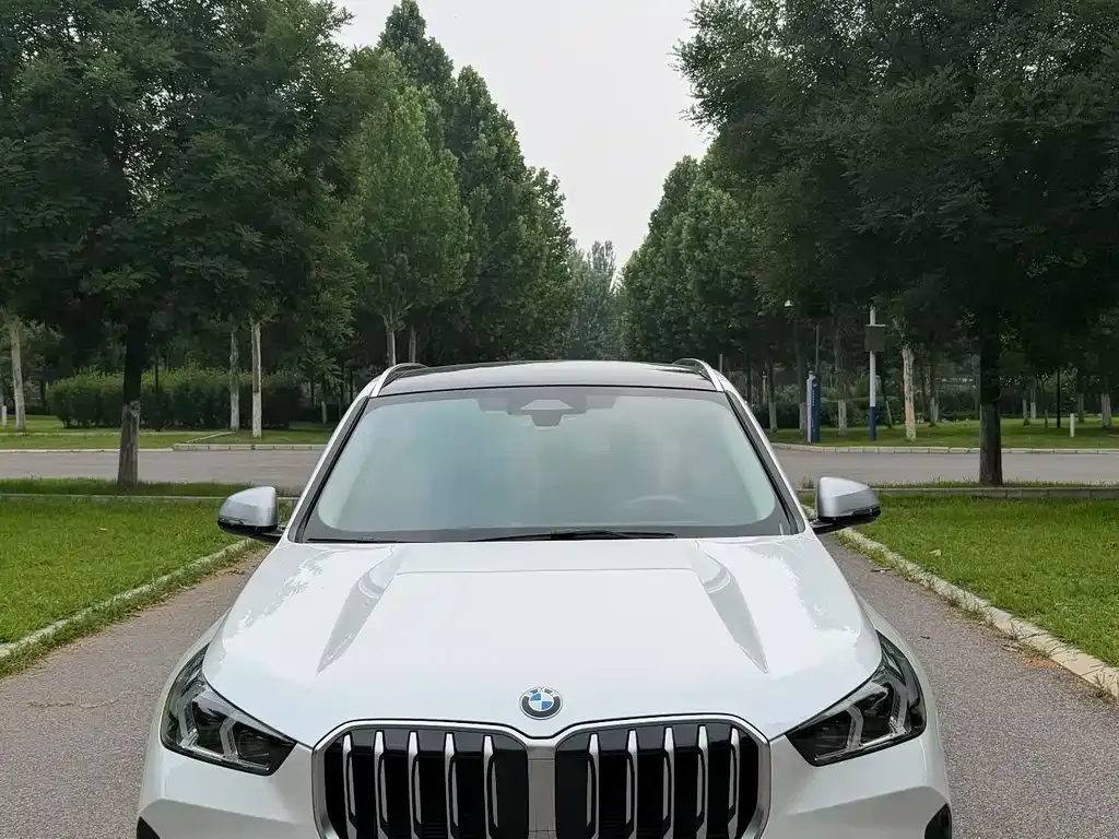 BMW X1 — фото 1