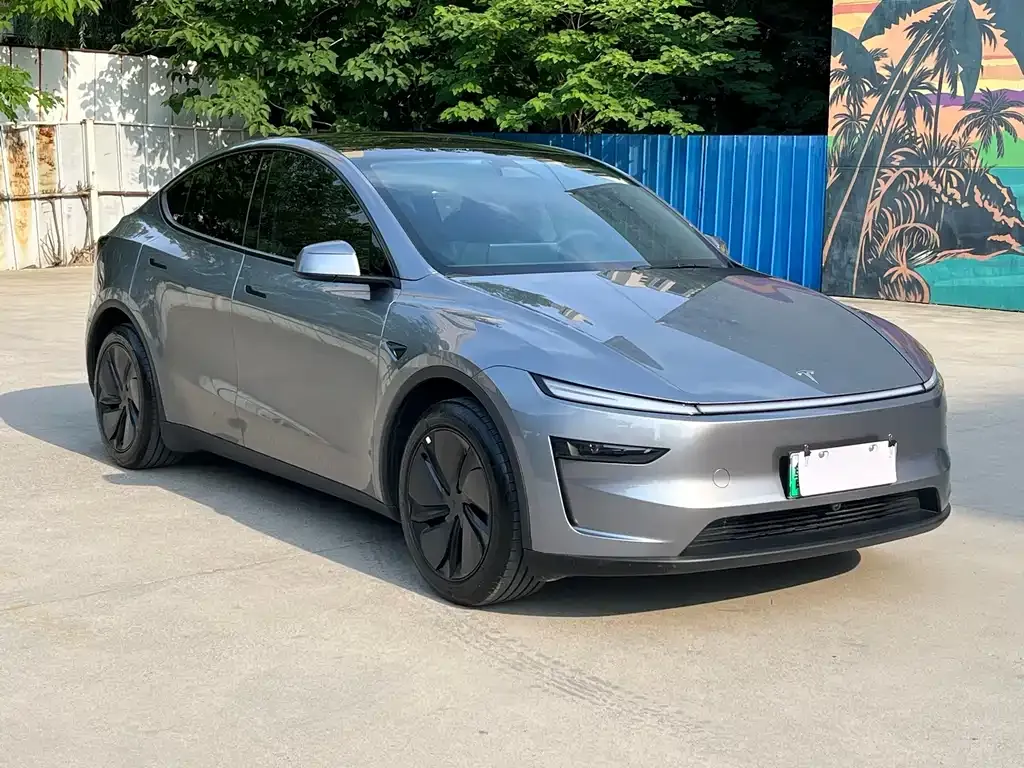 Tesla Model Y — фото 5