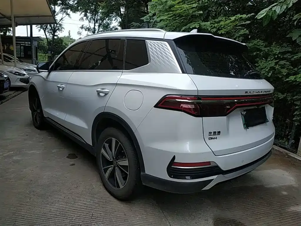 BYD Pro New Energy — фото 5