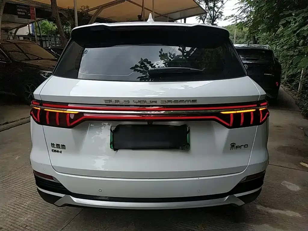 BYD Pro New Energy — фото 7