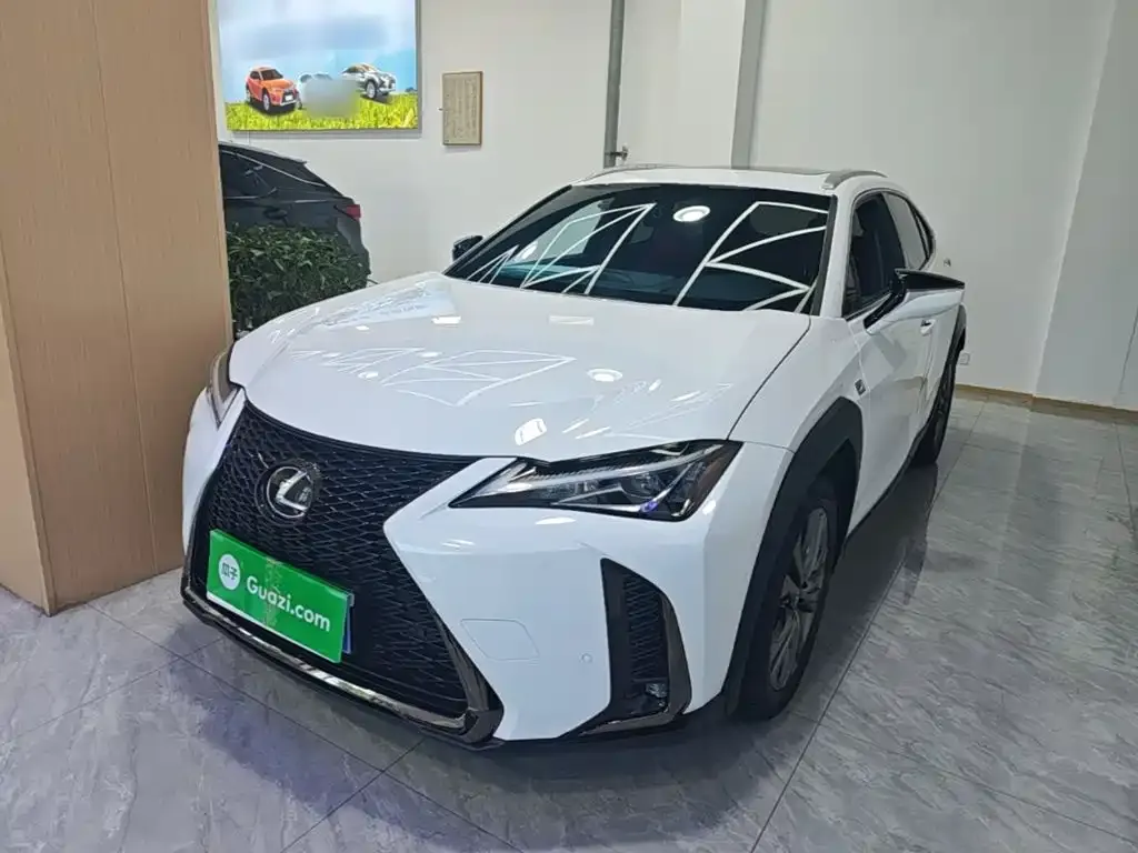 Lexus UX 2021 из CN, фото 3