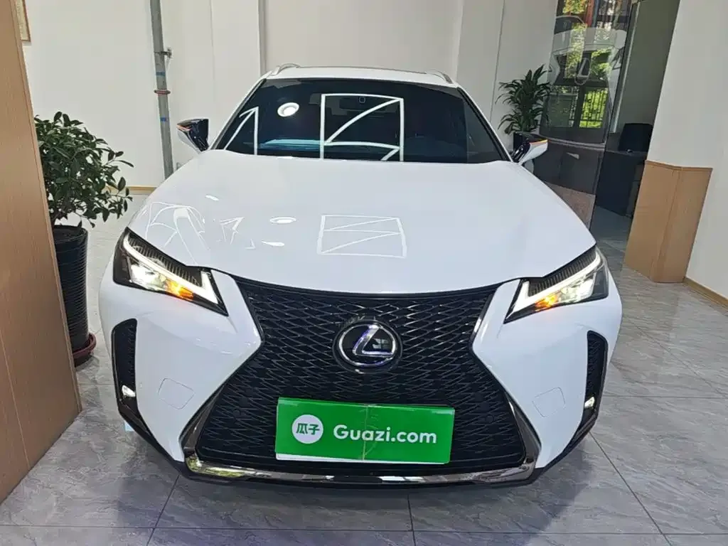 Lexus UX 2021 из CN, фото 5