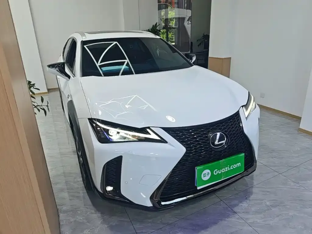 Lexus UX 2021 из CN, фото 9