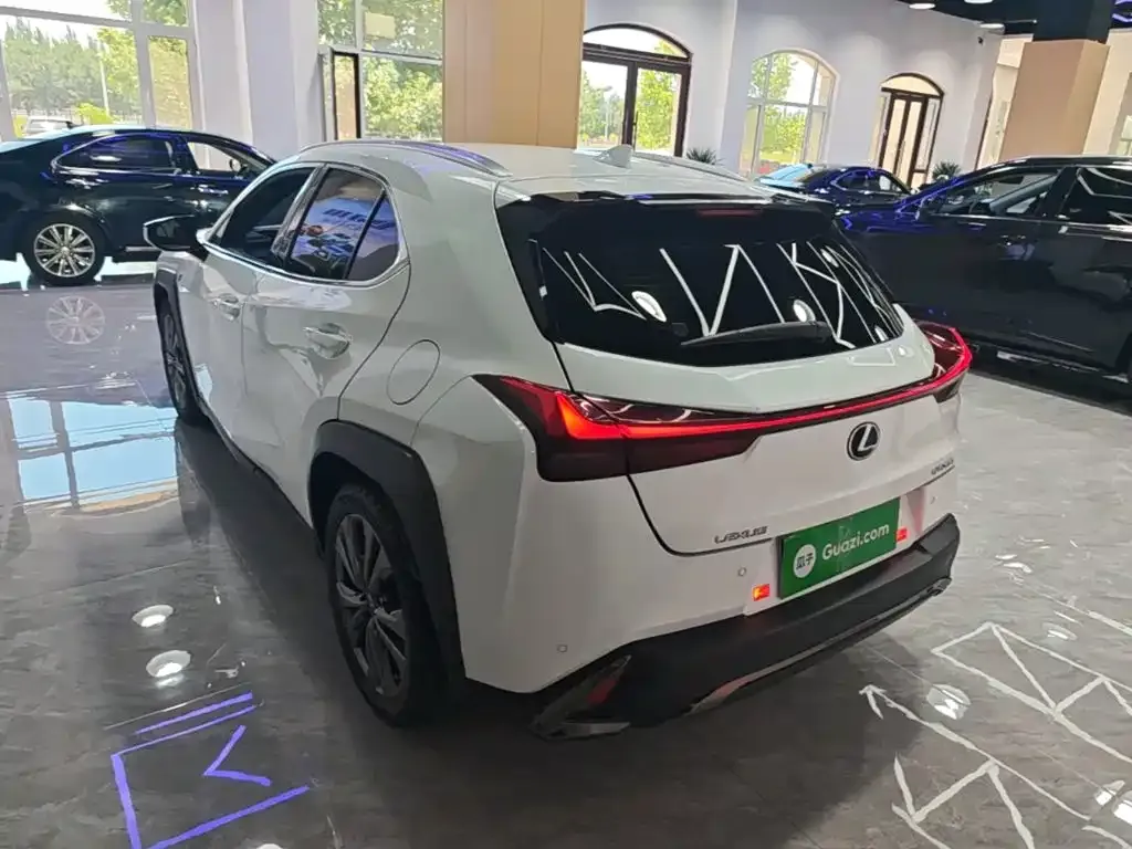 Lexus UX 2021 из CN, фото 4