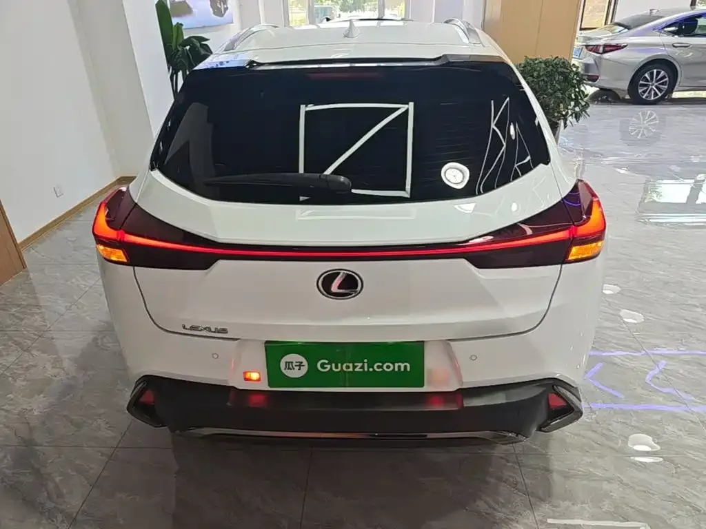 Lexus UX 2021 из CN, фото 7