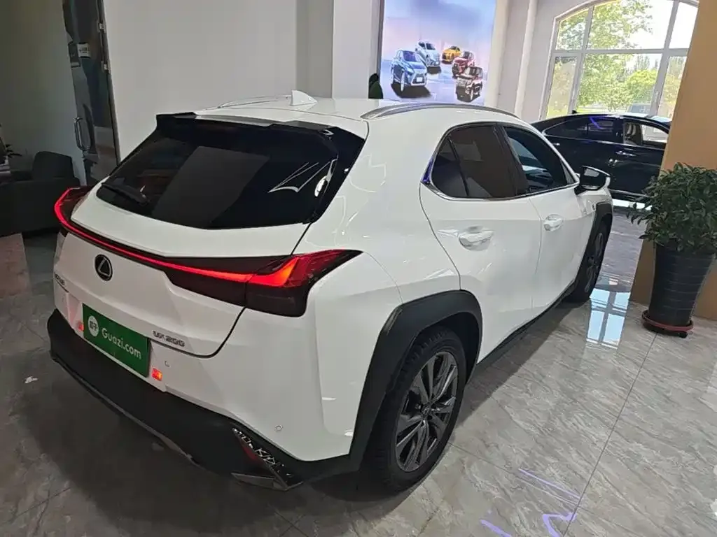 Lexus UX 2021 из CN, фото 8