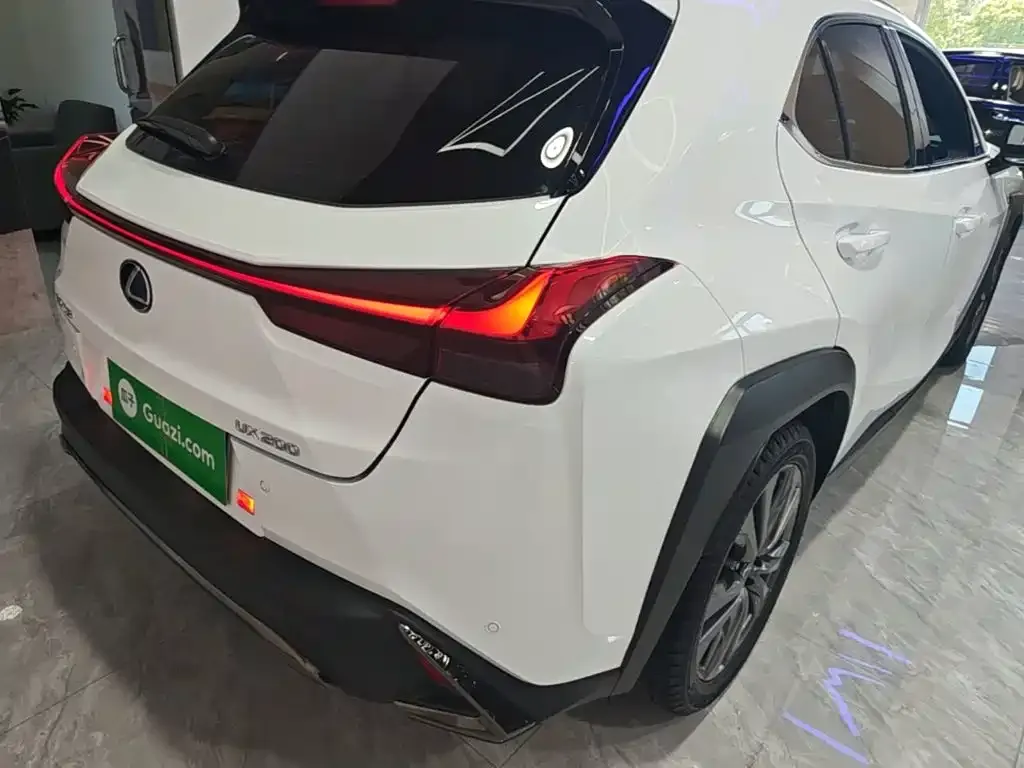 Lexus UX 2021 из CN, фото 10