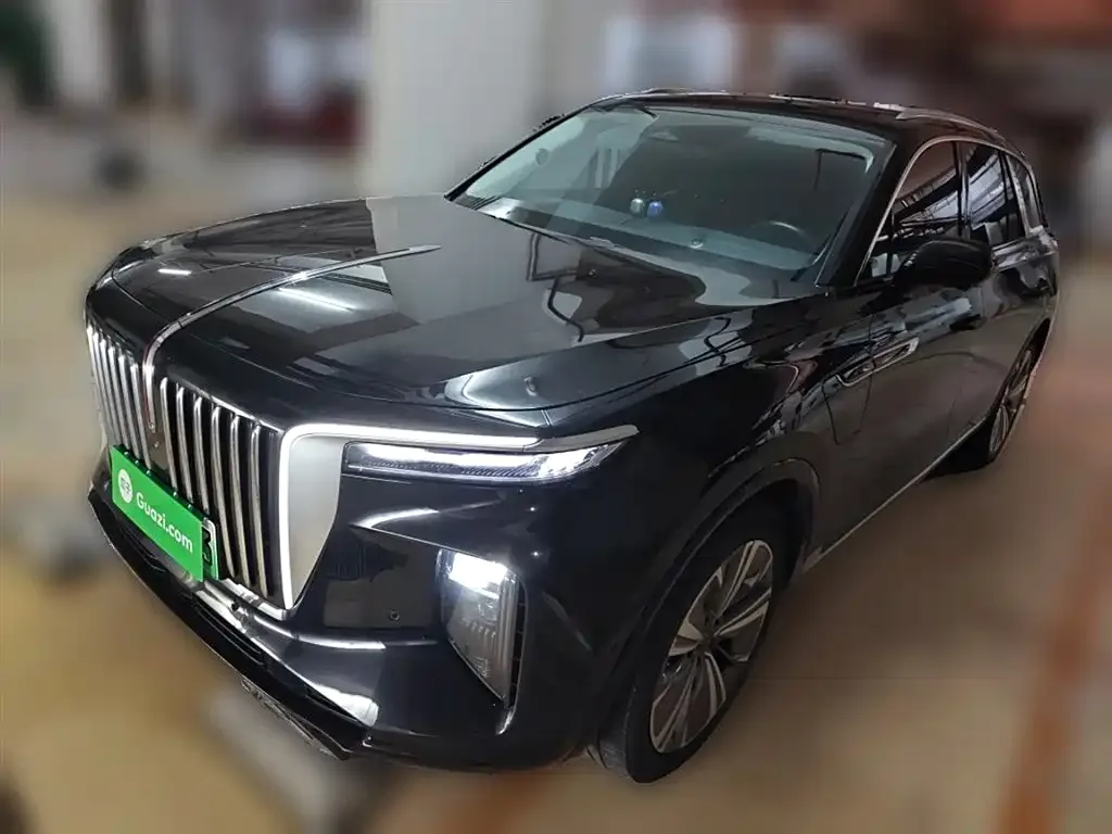 Hongqi E-HS9 — фото 1