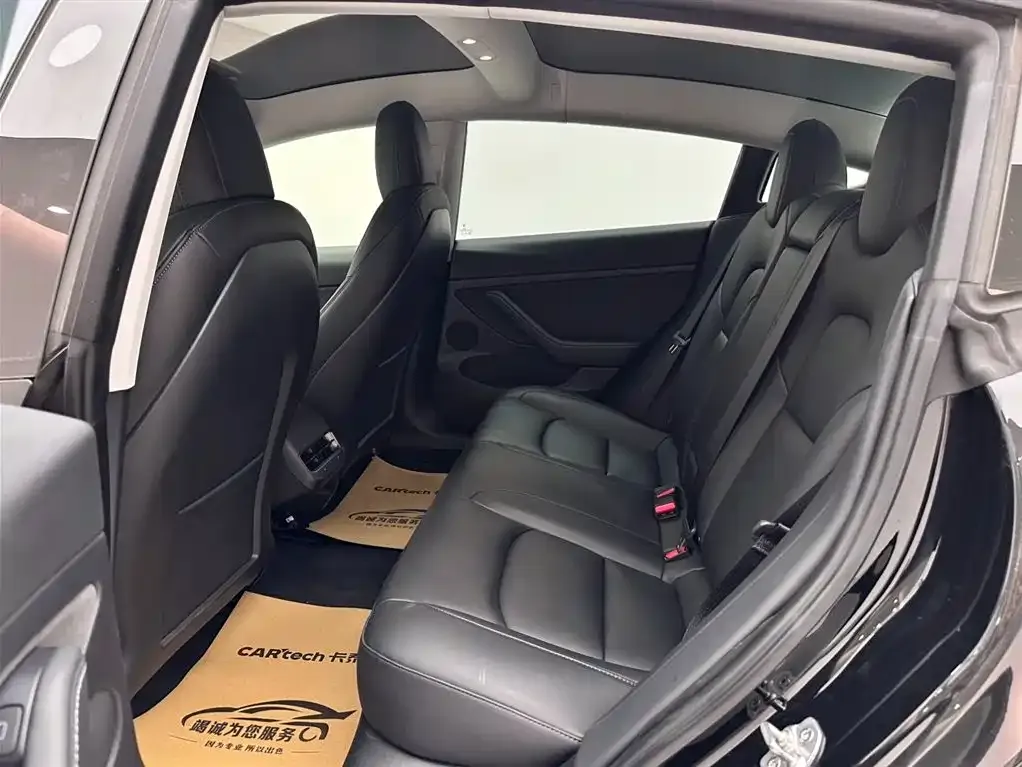 Tesla Model 3 2021 из CN, фото 4