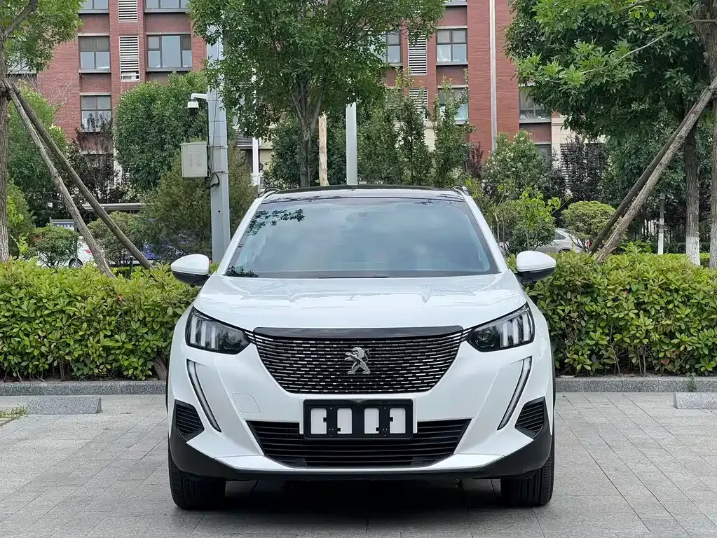 Peugeot 2008 2023 из CN, фото 8