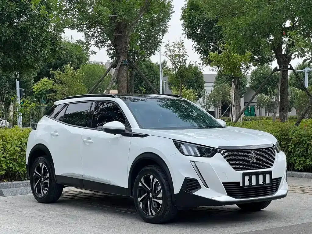 Peugeot 2008 2023 из CN, фото 9