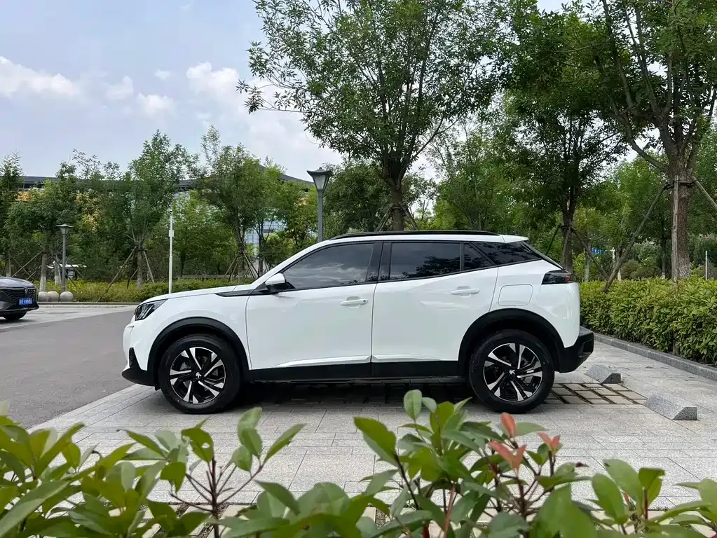 Peugeot 2008 2023 из CN, фото 5