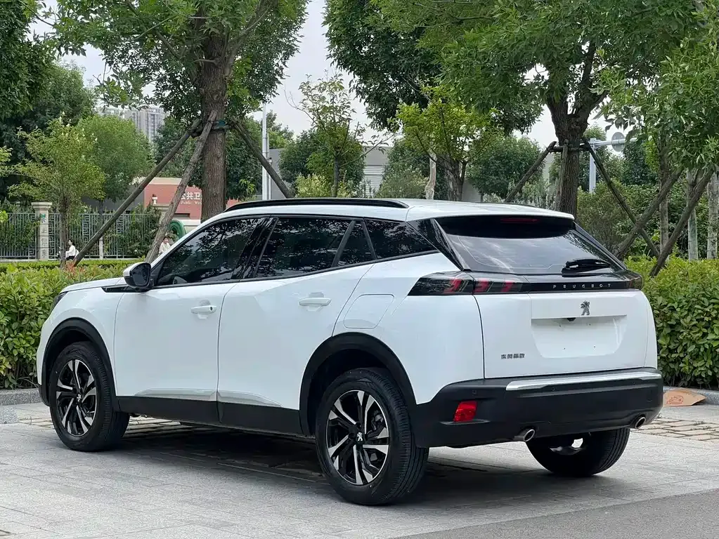 Peugeot 2008 2023 из CN, фото 6