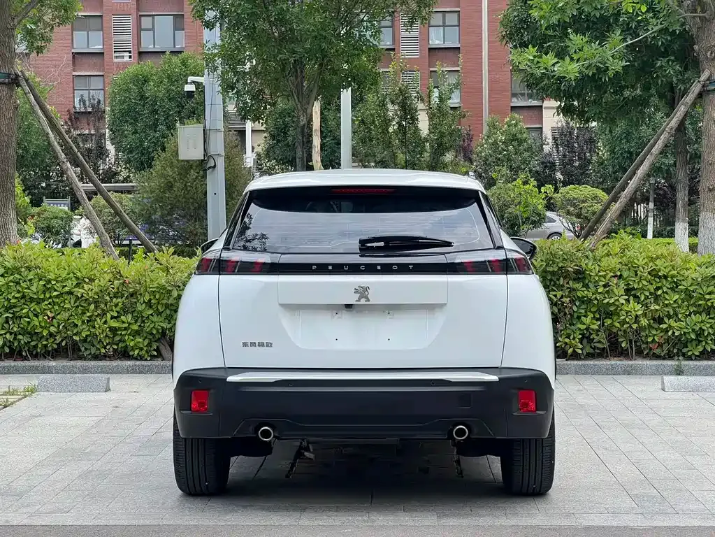 Peugeot 2008 2023 из CN, фото 10