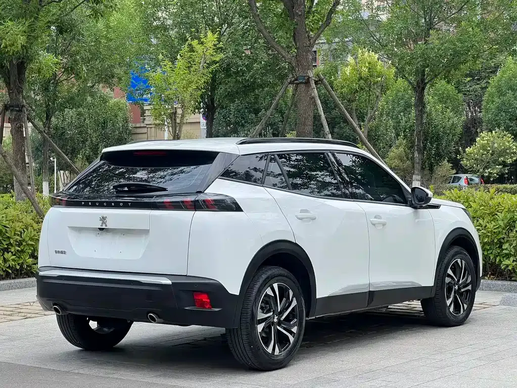 Peugeot 2008 2023 из CN, фото 7