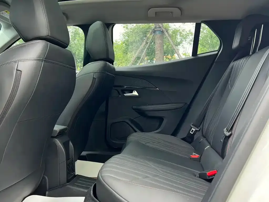 Peugeot 2008 2023 из CN, фото 2