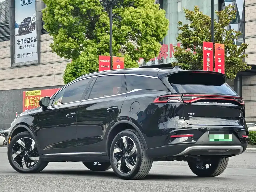 BYD Tang New Energy — фото 10