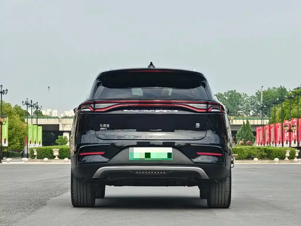 BYD Tang New Energy — фото 2