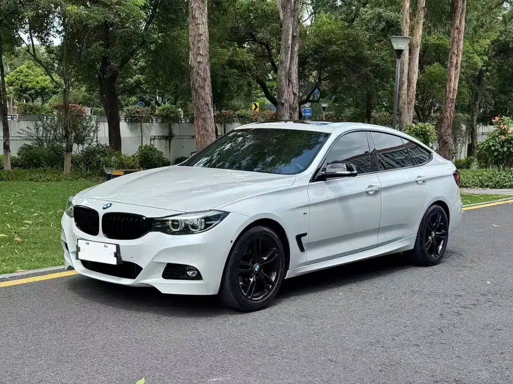 BMW 3 Series GT 2021 из CN, фото 6