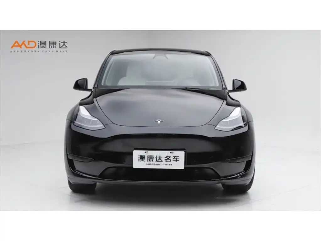 Tesla Model Y — фото 9