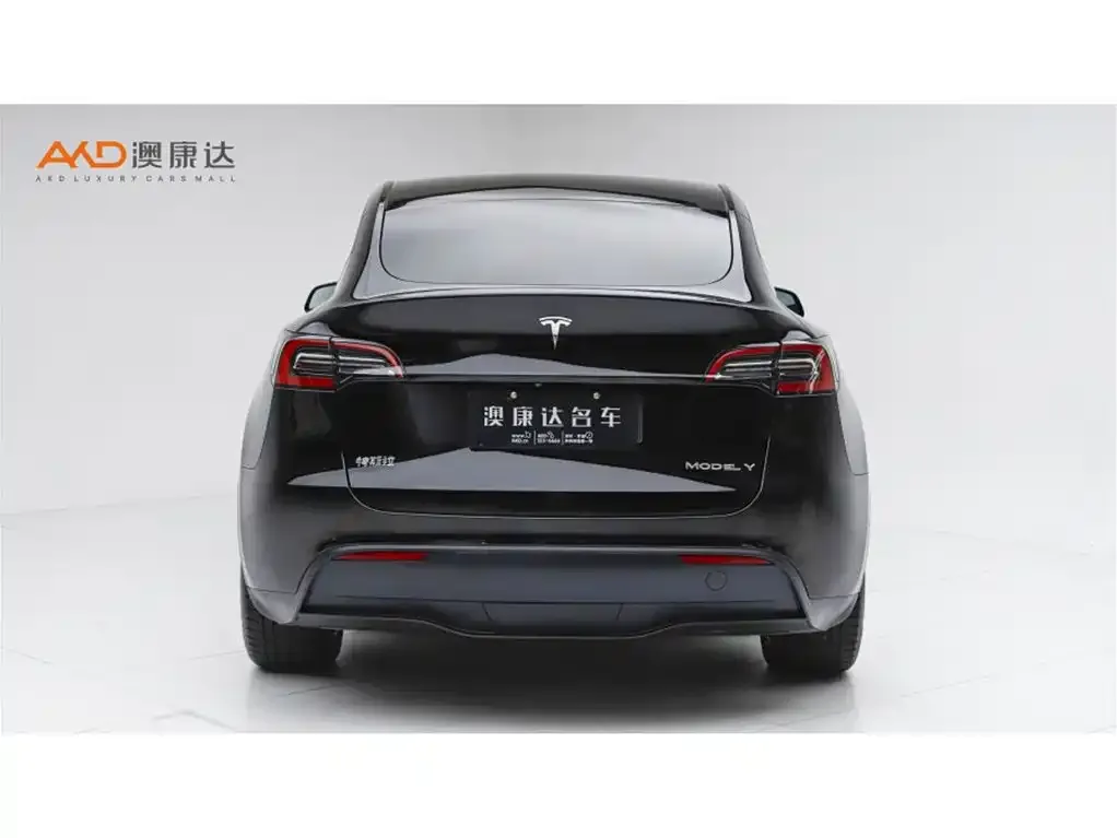 Tesla Model Y — фото 5