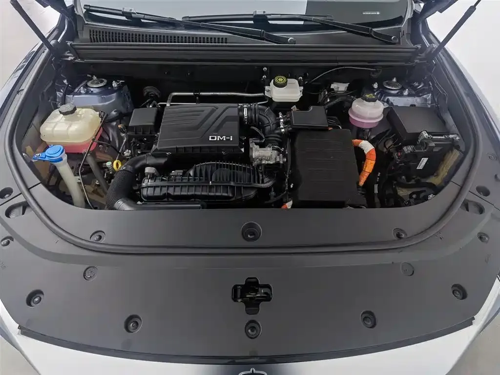 BYD Pro New Energy — фото 9