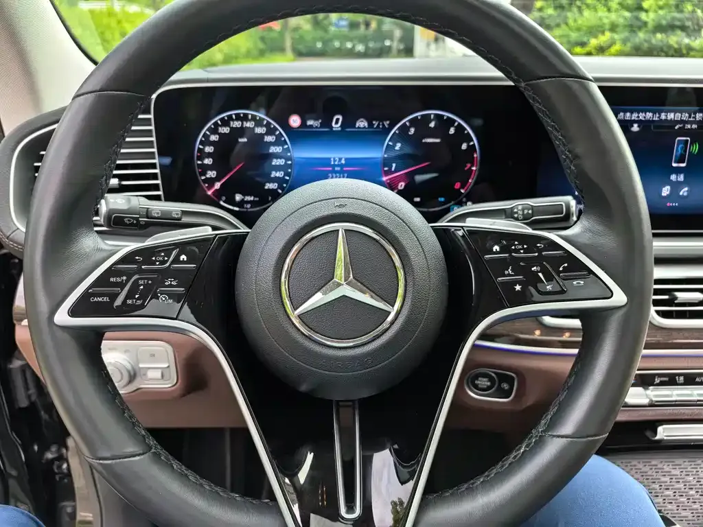 Mercedes-Benz 奔驰GLE(进口) — фото 3