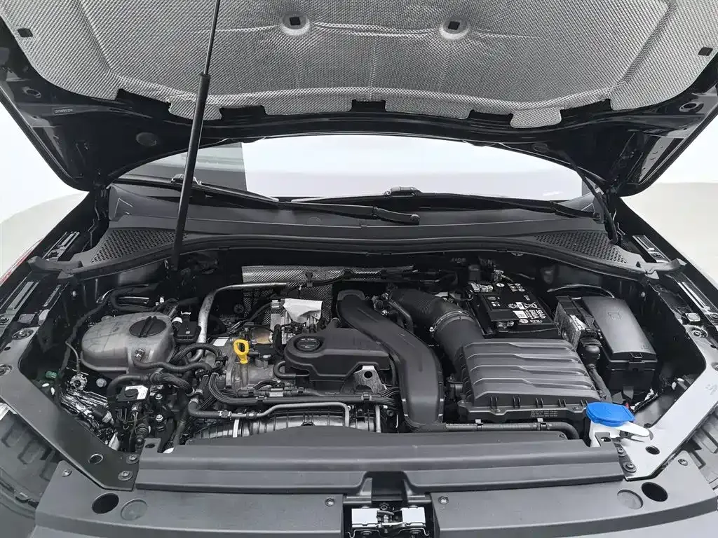 Volkswagen Tiguan L 2024 из CN, фото 10