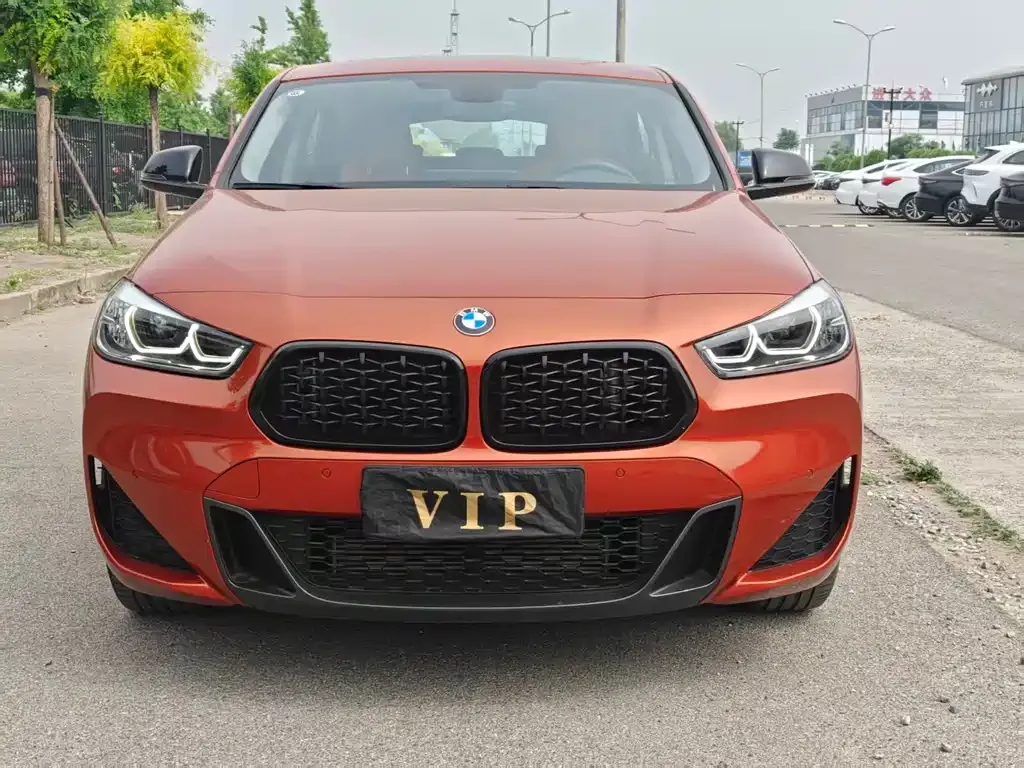 BMW X2 2023 из CN, фото 3
