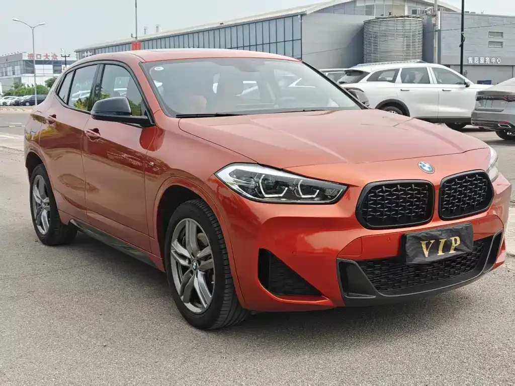 BMW X2 2023 из CN, фото 6