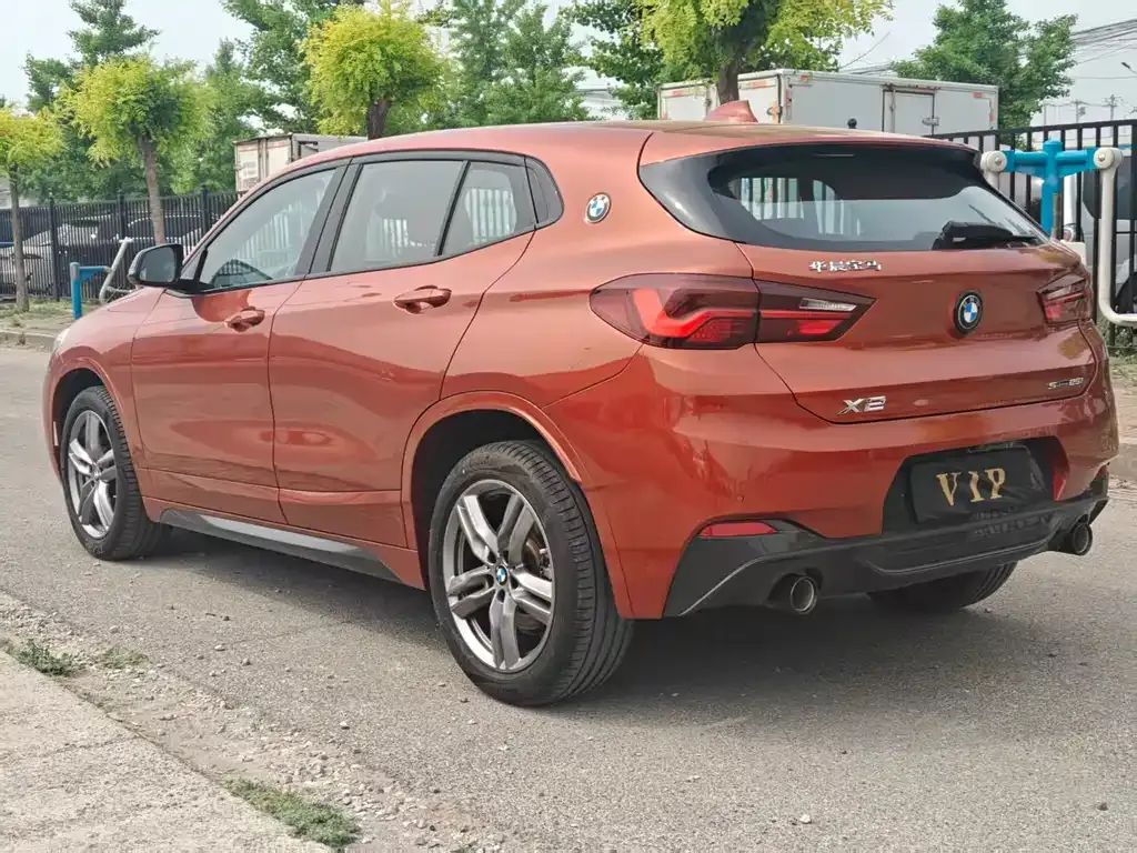 BMW X2 2023 из CN, фото 9