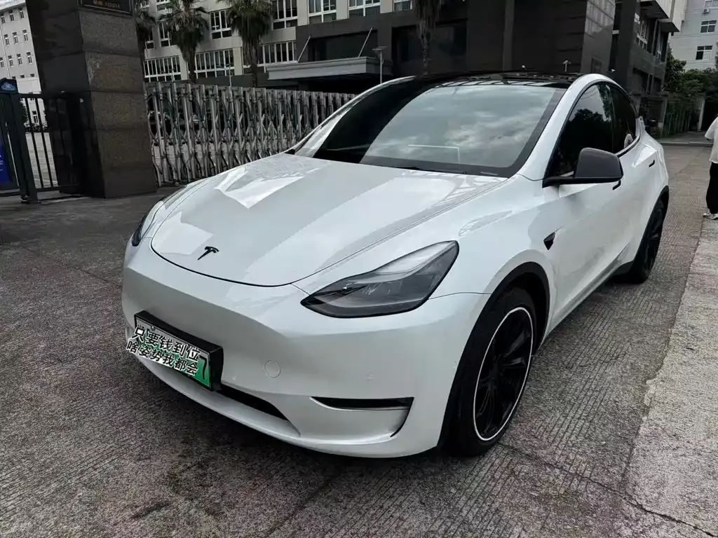 Tesla Model Y — фото 1