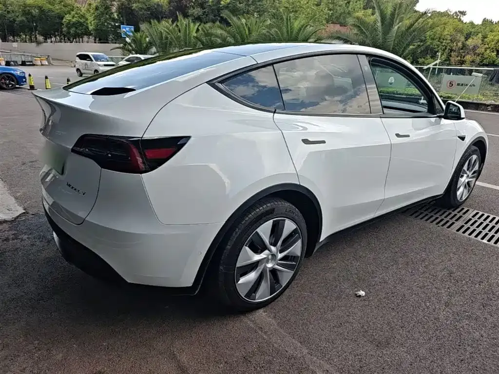 Tesla Model Y — фото 7