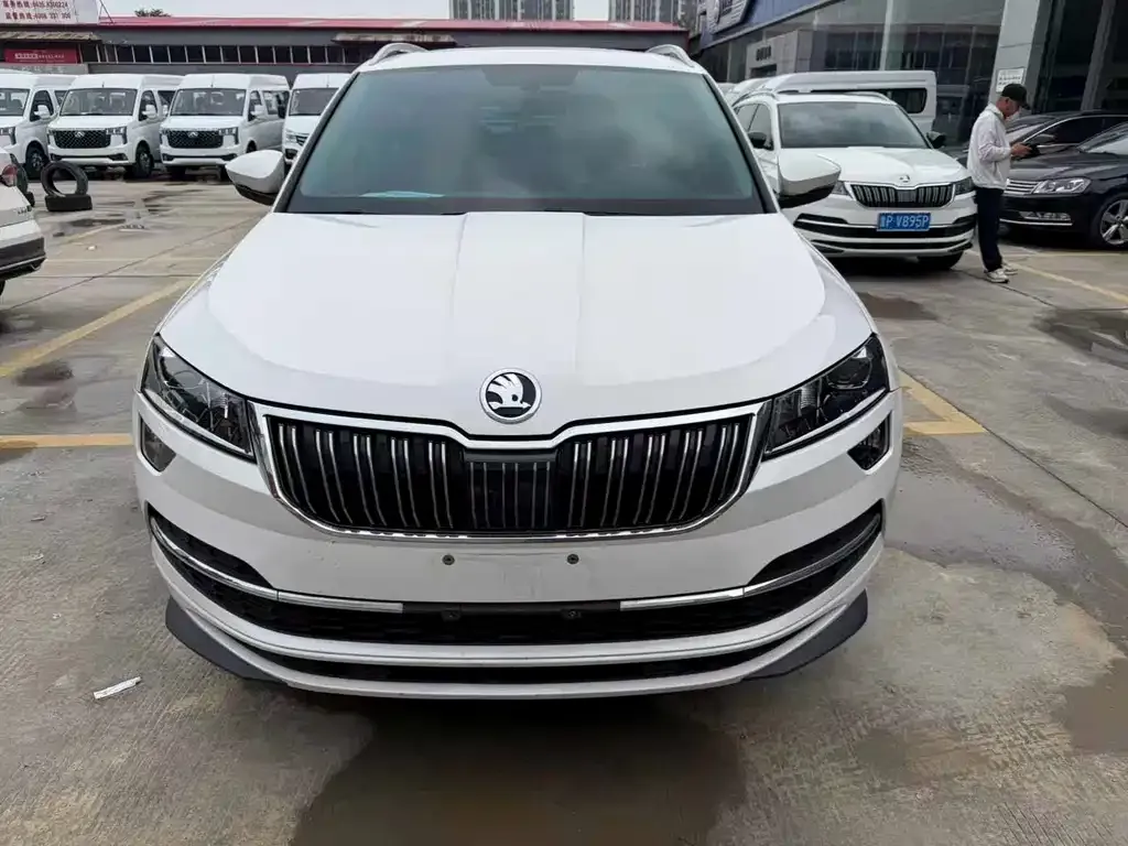 Skoda Karoq — фото 6