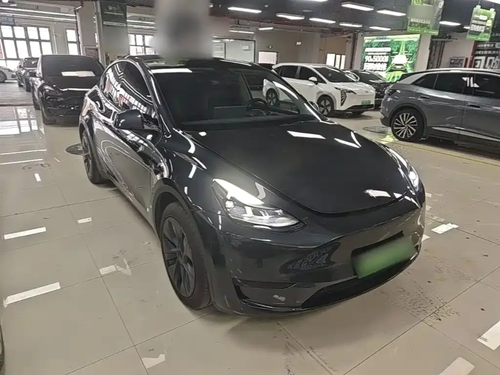 Tesla Model Y — фото 10