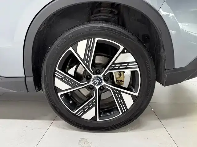BYD Pro New Energy — фото 9