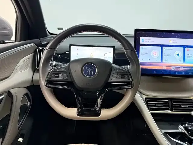 BYD Pro New Energy — фото 5