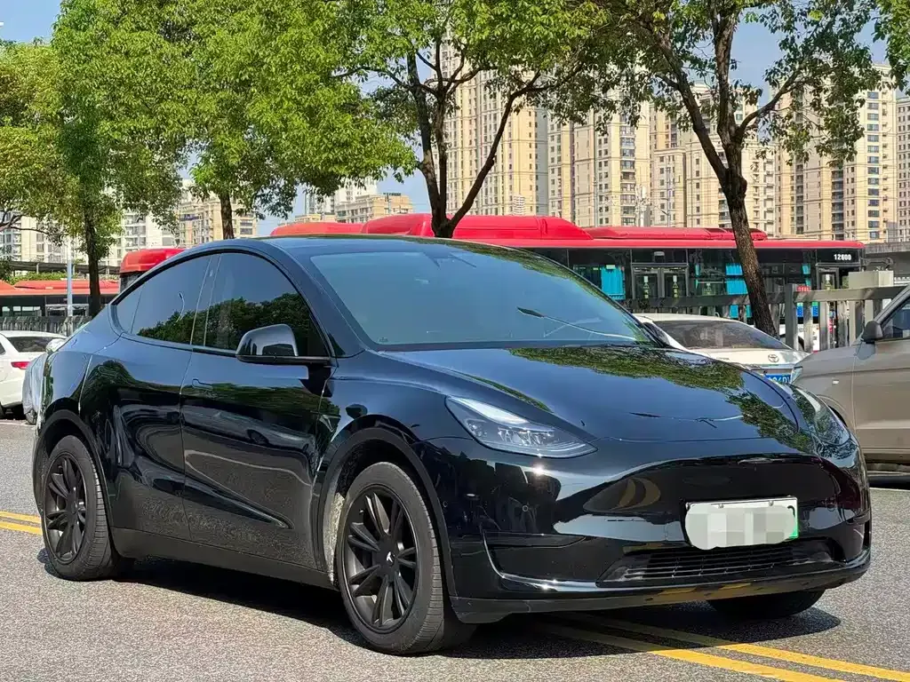 Tesla Model Y — фото 1